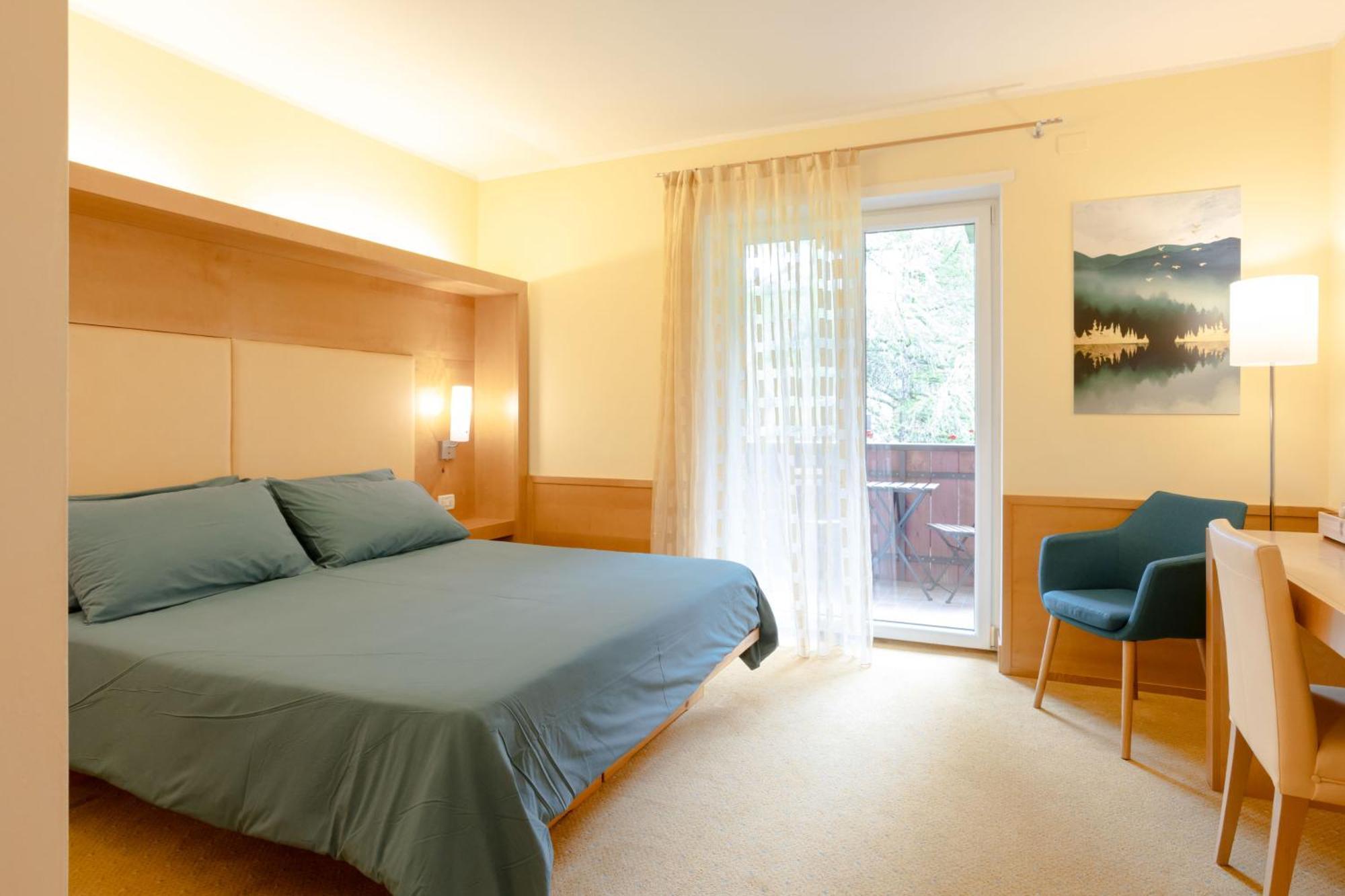 Double or Twin Room Mountain View