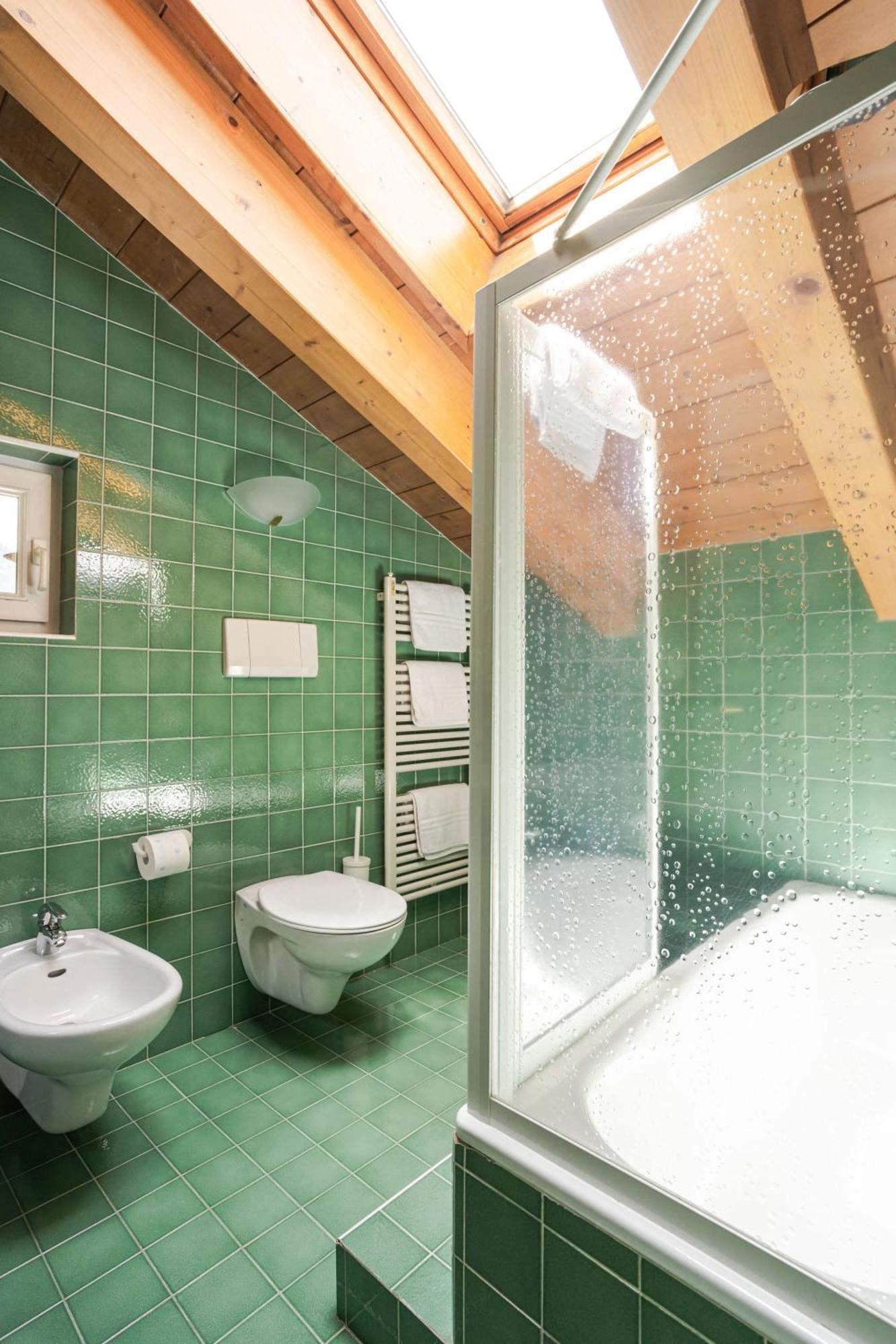 Double or Twin Room Mountain View